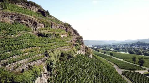 Mosel Weinregion - Weingut Bastgen - Bio Wein - Deutscher Riesling