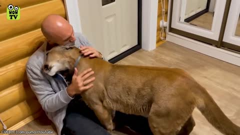 Heart warming reunions | Animals and owners