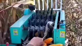 🌽 Corn 🌽 picking machine