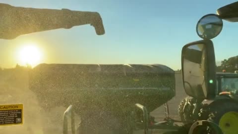 Harvesting 80 Bushels Per Acre Soybeans