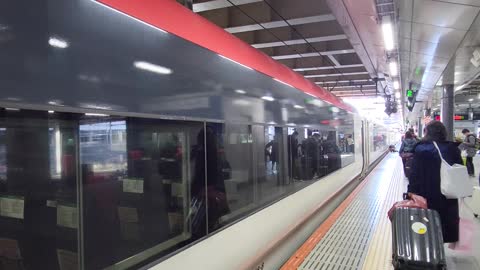 Tokyo Narita Express train 1