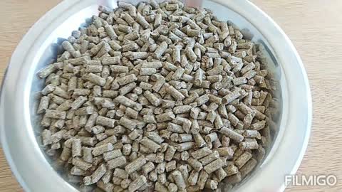 Equine Feed - Horse Feed - Pellets - Exporter from Argentina - Al Fakal