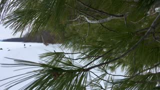 Hemlock Lake Excursion