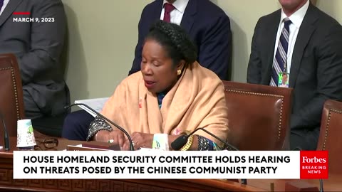 'We Have To Win The World Over'- Dem Lawmaker Touts US Values As CCP Expands Influence Globally