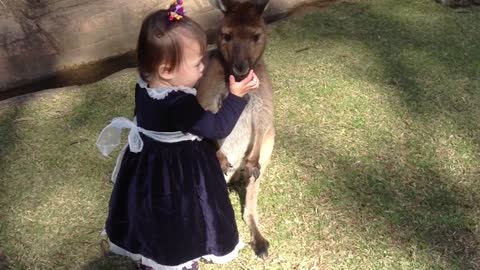 Adorable Two-Year-Old Girl Cuddles And Plays With Baby Kangaroo