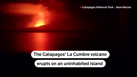 Galapagos volcano erupts on uninhabited island
