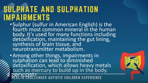 44 of 63 - Sulphate and Sulphation Impairments - Health Challenges Autistic Children Experience