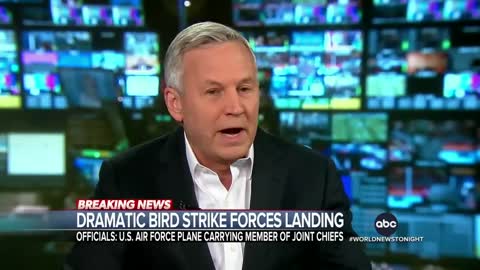 Bird strike forces emergency landing of US Air Force plane