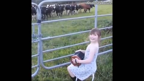 Animals🐮 get emotional 🐄 as little girl plays 🎵music