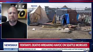 TPM's Ari Hoffman tells NEWSMAX's Jenn Pellegrino about the severity of the fentanyl crisis