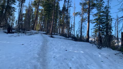 Ascending Icy Forest – Upper Three Creek Lake Sno-Park – Central Oregon – 4K