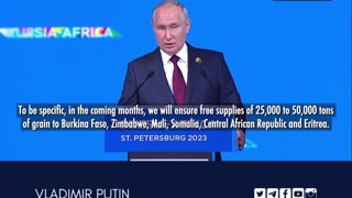 Putin pledges free supply and delivery of Russian grain to the African continent