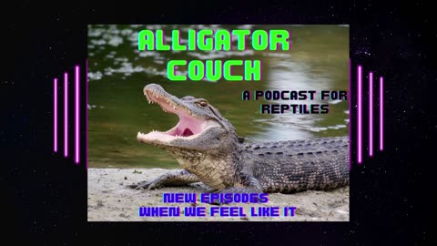 Alligator Casey, Stand-up - My pussy!