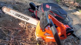 Echo DCS 2500T Electric Chainsaw Trail Clearing