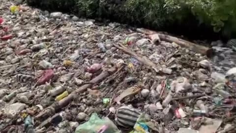 Cleaning Creek Full of trash and plastic in 24 hour...