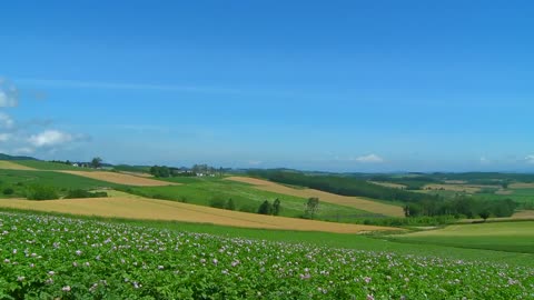 Blue Sky〜Beautiful Scenery