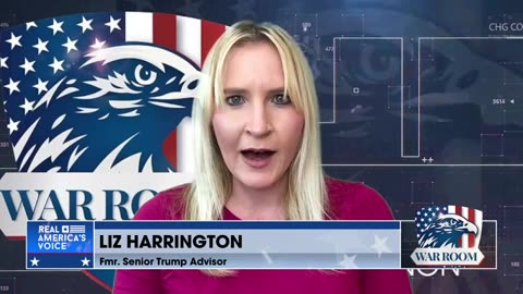 Liz Harrington On Arizona: Arresting the Political Opposition— In the Name of ‘Democracy’