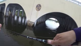 easy way to catch fish
