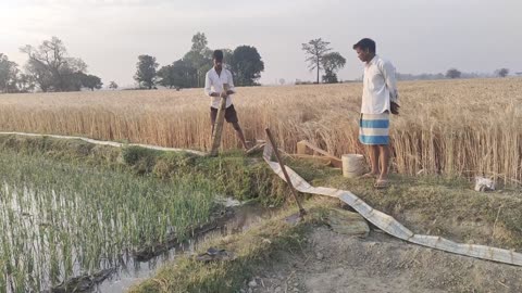 Village Life Struggles of Country Side People in U.P. India | Women Morning Routine In Summer India