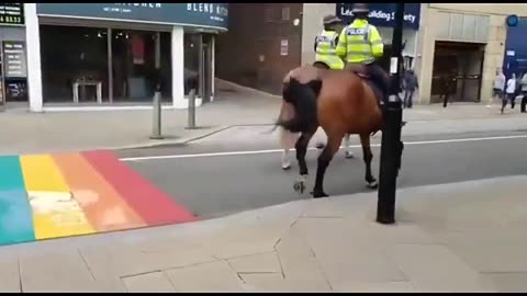The Left Would Call These Horses “Far-Right Extremist”