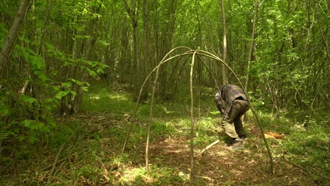 Building a Survival Shelter in a Desolate Forest - Camp food from natural herbs Mr Wild Nature