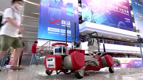 Robots showcase China's innovation in AI