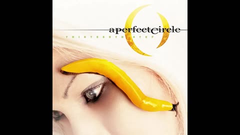 A Perfect Circle - Thirteenth Step