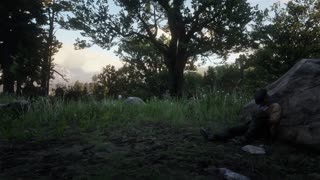 Red Dead Redemption 2 Playthrough Part 4