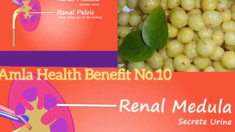 Can Kidney Patients use Amla?