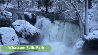 Whatcom Falls