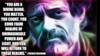 Terence McKenna _ You Are Divine Being, You Matter