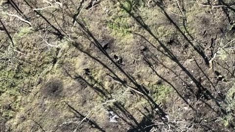 Ukrainian Army 30th Brigade in action near Bakhmut