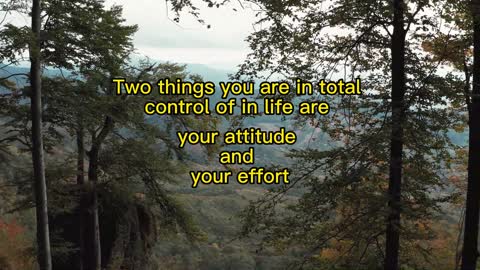 Two things you are in total control of in life