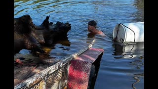 Pulling logs that’s where cut down in the late 1809