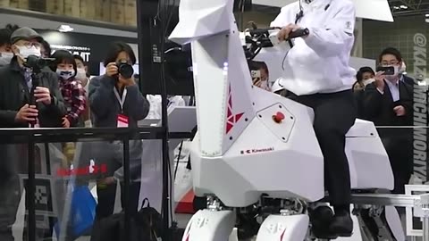 KAWASAKI GOAT ROBOT