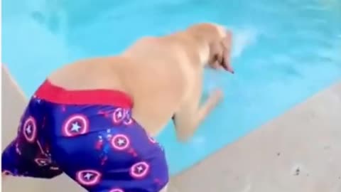 Hilarious Dog Having the Time of Its Life in the Pool