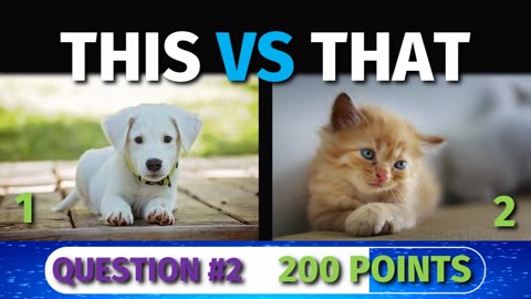 This VS That - Round #5 - Game Show | What is Your Favorite? What Do You Like? | Play Now!