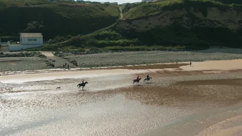 Aerial Footage Of Men Enjoying Horseback Riding Along The Seashore