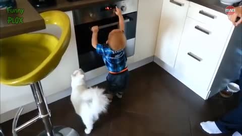 FUNNY AND AWESOME WHEN CAT BECOME BABY SITTER - CUTE CUTS AND BABY HUMANS