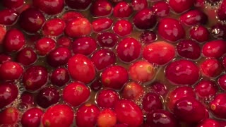Bubbly Cranberry Goodness