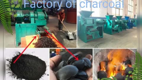 Ecological charcoal