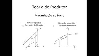 Microeconomia 083 Teoria do Produtor Maximização de Lucro