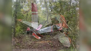 Ultralight aircraft plummets in Florida crash