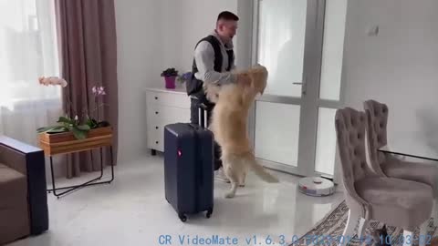 Saying goodbye to my Golden Retriever before the trip!