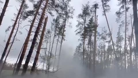 Russian armoured group of the Airborne Troops support assault detachments