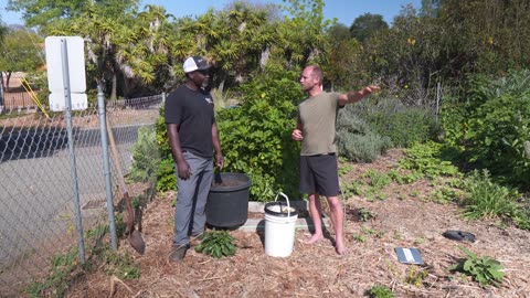 From Desert To a Food Forest