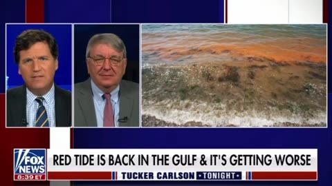 Red Tide is Back