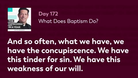 Day 172: What Does Baptism Do? — The Catechism in a Year (with Fr. Mike Schmitz)