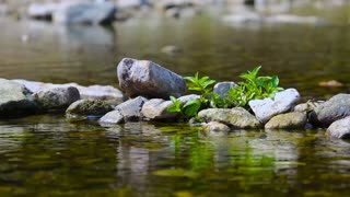 Calm river