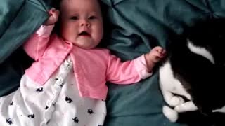Adorable baby loves to pet her cat